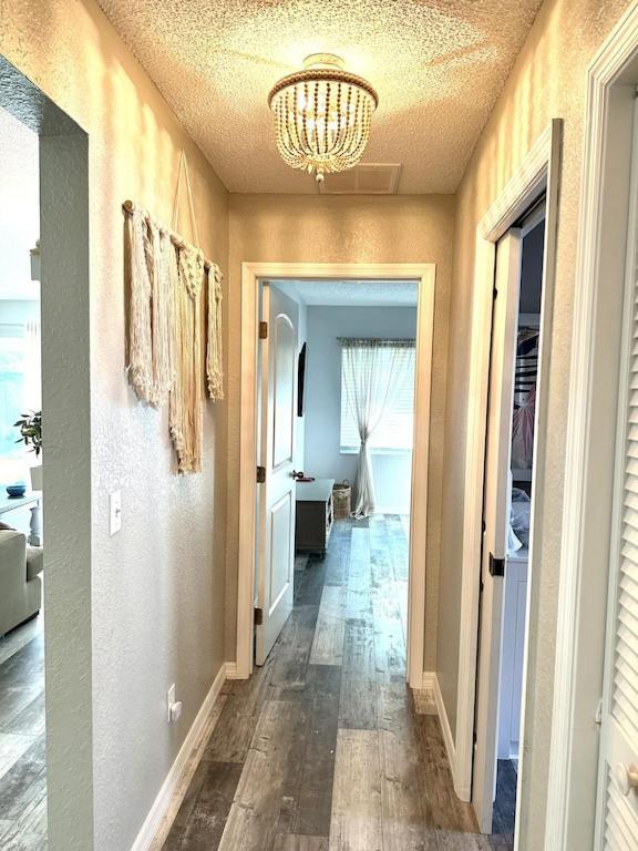 Villa Maria Salt Sun 7 Minutes To Indian Rocks Beach Largo Extérieur photo